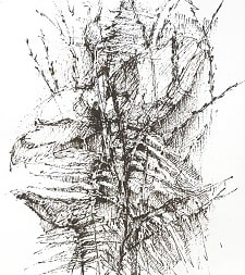 Rysunki Malgorzaty Palczewskiej