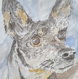 Wystawa Malgorzaty Palczewskiej