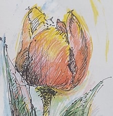 Pejzaż Małgorzaty artystki